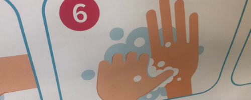Biedronki świętują Światowy Dzień Mycia Rąk